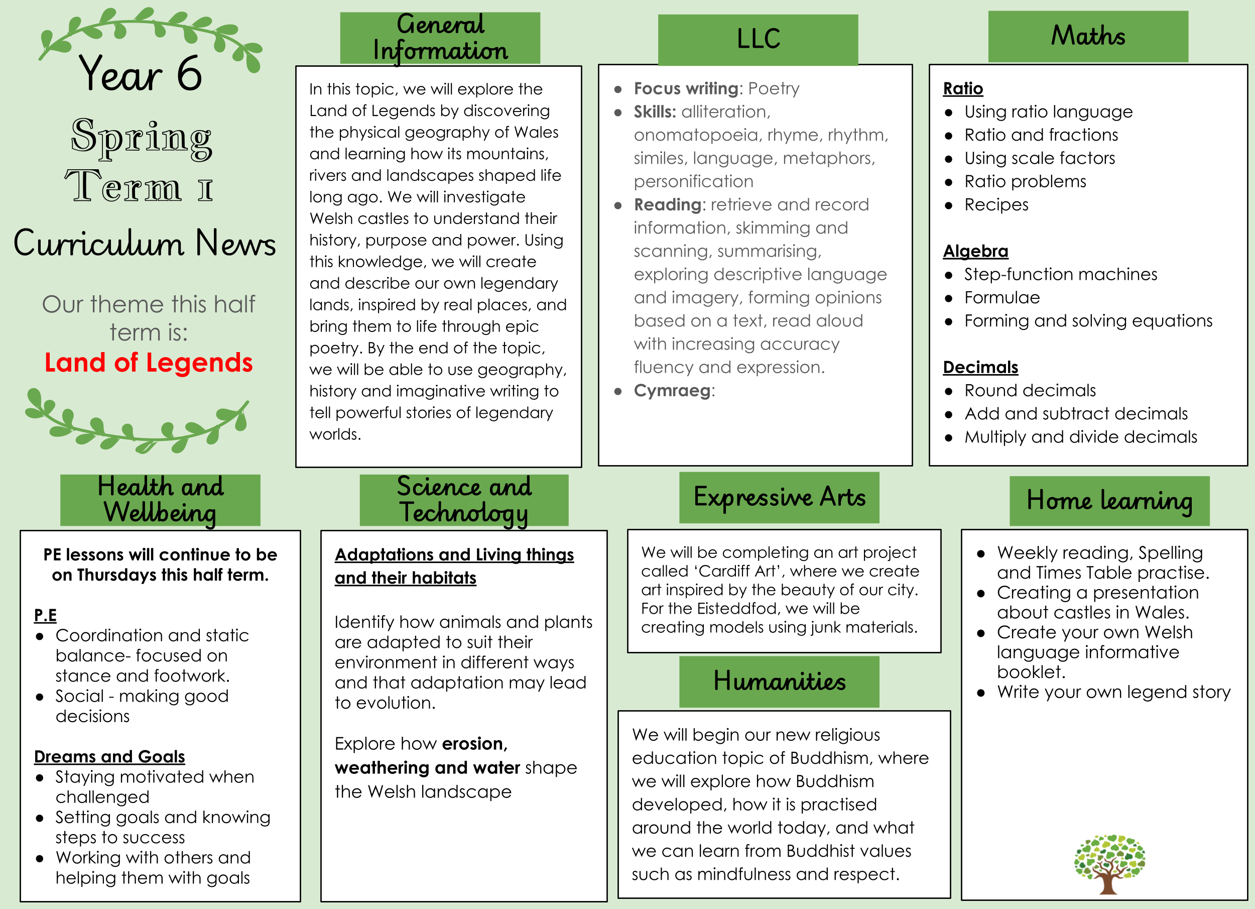 Year 6 Curriculum News 2026